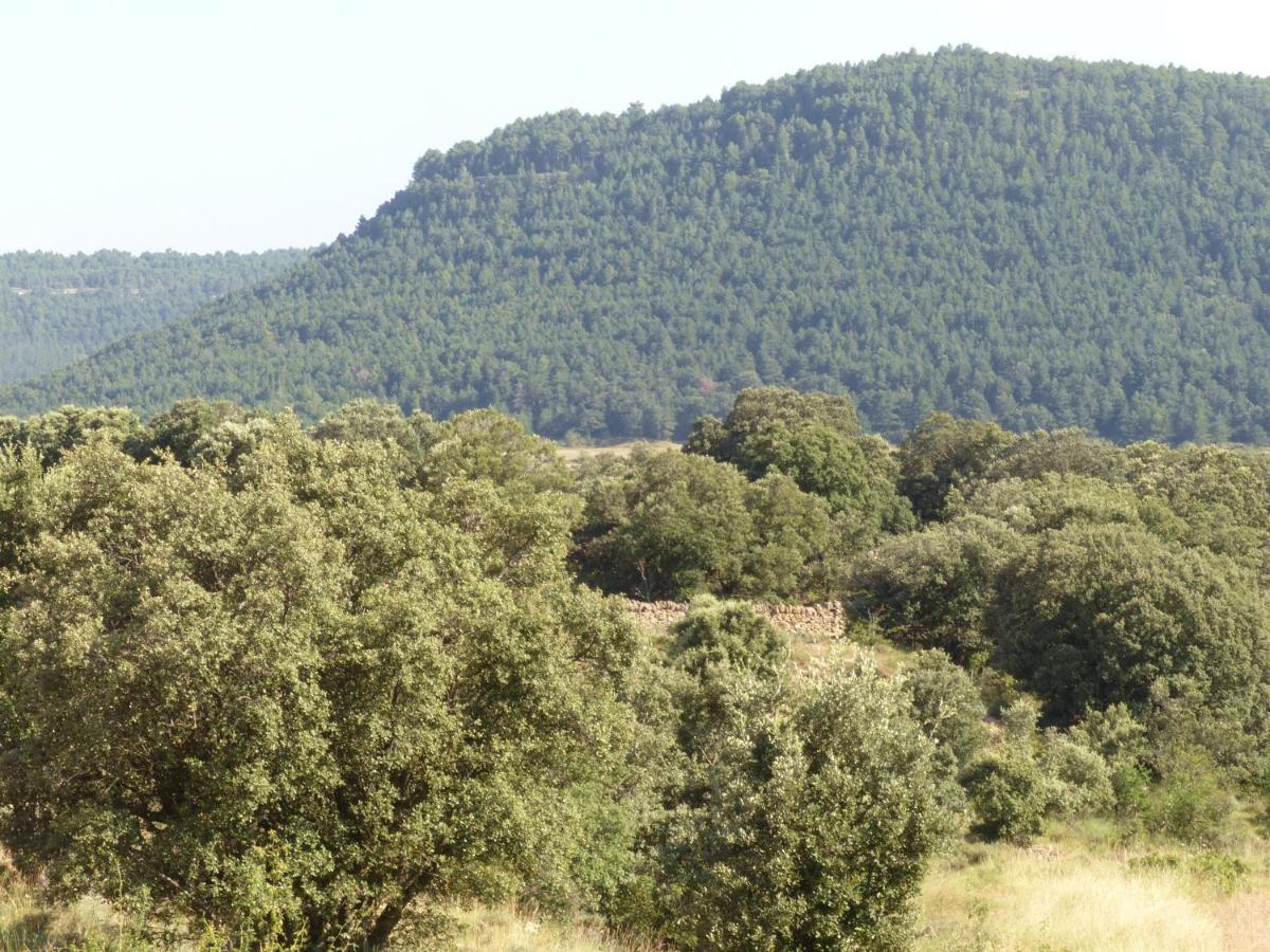 Molino Dolz Villa Ла Инглесуела дел Сид Екстериор снимка