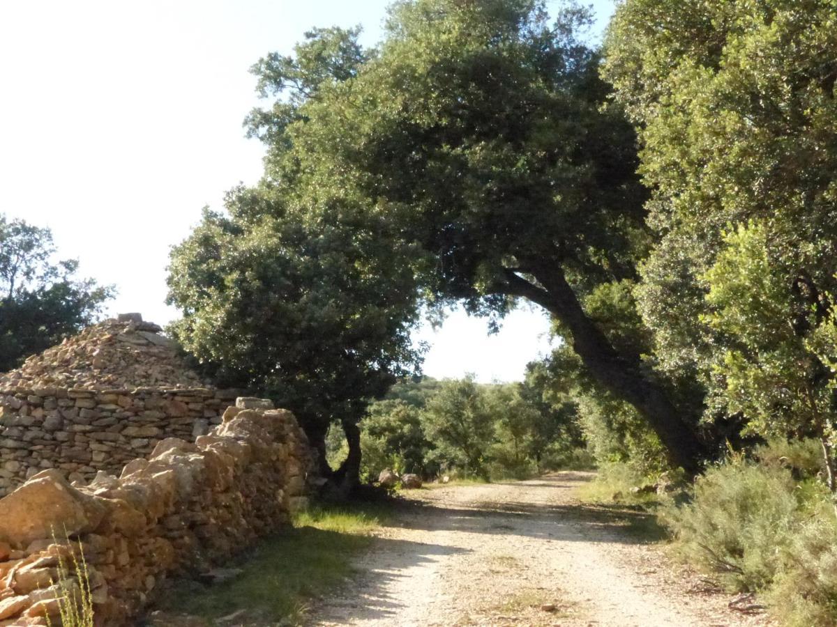 Molino Dolz Villa Ла Инглесуела дел Сид Екстериор снимка